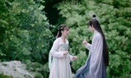 真吃瓜美簪花,揭秘娱乐圈的美丽与争议