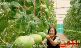 2023年开年吃瓜,娱乐圈风云再起，明星八卦盘点