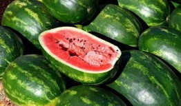 吃瓜视频免,轻松获取热门资讯的免生成神器