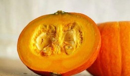 南瓜吃瓜南瓜哈密瓜,探寻瓜类家族的奇妙之旅