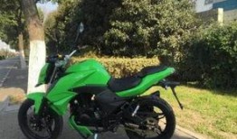 惠州机车吃瓜,一场吃瓜群众的狂欢盛宴