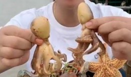 小光头吃瓜,揭秘瓜界奇闻轶事