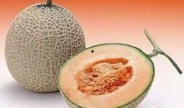 总吃哈密瓜,揭秘甜蜜背后的健康秘密