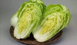 减肥中午吃白菜和小瓜,白菜小瓜搭配助你轻松减肥
