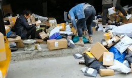 装车吃瓜,揭秘瓜农的甜蜜生活与丰收喜悦