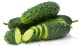 吃牛腿瓜长胖,揭秘吃瓜长胖的秘密