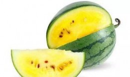 带你吃瓜解说山寨