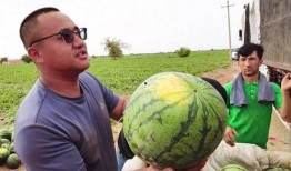 战术吃瓜图片欣赏,揭秘军事图片中的趣味瞬间