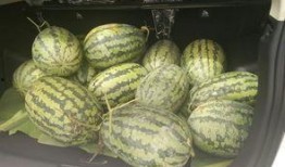 搬登吃瓜,揭秘娱乐圈背后的那些事儿