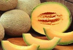 女生哈密瓜吃太多,女生过量食用引发的甜蜜烦恼
