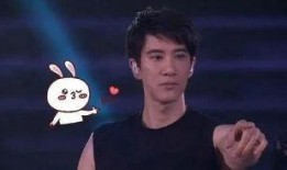 香港演唱粉丝 吃瓜,吃瓜背后的娱乐真相