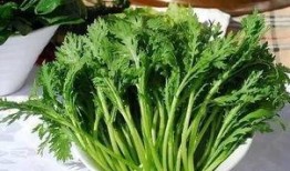 赤匏瓜怎么吃,解锁美味新体验