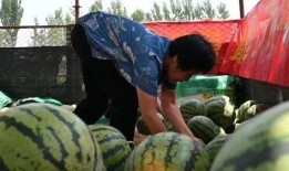 岗头村吃瓜视频,揭秘乡村生活趣味瞬间