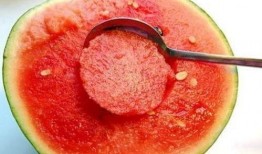 能人吃瓜,网络热词背后的社会现象