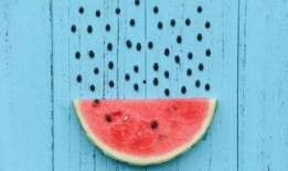 捧瓜做吃的,探寻夏日消暑新风尚