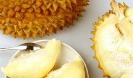 宝宝多大可以吃蜜瓜,适宜年龄揭秘