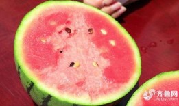 夏庄吃瓜事件,一场引发全民热议的网络狂欢