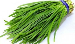 st热心韭菜吃瓜,揭秘网络热点的背后故事