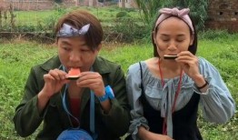 比赛吃瓜拿钱,一场别开生面的趣味竞技盛宴