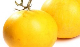 伊丽莎白瓜吃皮么,解锁夏日美味新选择