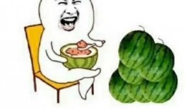 吃瓜是名词吗,揭秘网络名词背后的文化现象