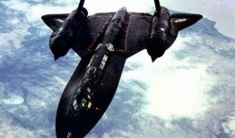 黑鸟吃瓜视频,揭秘娱乐圈幕后真相