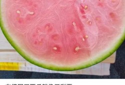 2019年最全吃瓜,2019年度娱乐圈吃瓜大事件全记录