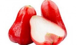 莲雾吃瓜短视频,趣味横生的短视频盛宴