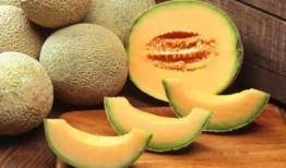 枇杷跟哈密瓜能一起吃吗,枇杷与哈密瓜同食的注意事项及搭配建议