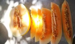 阿拉善吃瓜,瓜果飘香，品味独特美食之旅