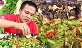 小南吃瓜apv,揭秘娱乐圈幕后故事