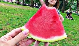 傲娇的吃瓜,揭秘娱乐圈背后的秘密