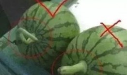 夏天的吃瓜方式,创意吃瓜指南