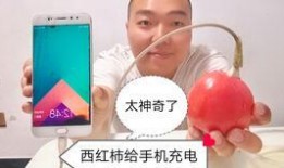 小光头吃瓜,揭秘瓜界奇闻轶事