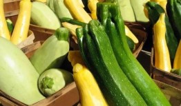 带你吃瓜做菜,瓜果蔬菜的创意烹饪之旅