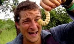 吃瓜群1996686,一场网络热议背后的故事