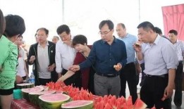 莘县吃瓜群众事迹,见证时代变迁的民间观察者