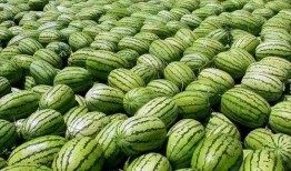 大美吃瓜婆,揭秘娱乐圈幕后故事