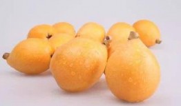 枇杷跟哈密瓜能一起吃吗,枇杷与哈密瓜同食的注意事项及搭配建议