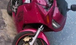 惠州机车吃瓜,一场吃瓜群众的狂欢盛宴