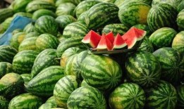 蚌埠金街吃瓜,夏日吃瓜盛宴，街头巷尾的清凉诱惑