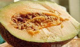 总吃哈密瓜,揭秘甜蜜背后的健康秘密