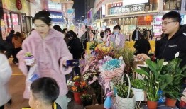 蚌埠金街吃瓜,夏日吃瓜盛宴，街头巷尾的清凉诱惑