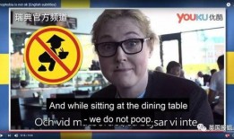 每日吃瓜语音大赛,趣味横生的声音盛宴