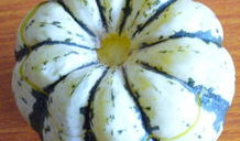 超娃吃鸡瓜,吃鸡瓜引发的奇幻冒险之旅