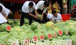 自行吃瓜,揭秘网络吃瓜背后的趣味与真相