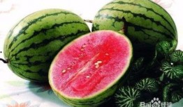 落九川和吃瓜,落九川的瓜田奇遇记