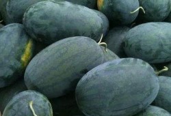 吃瓜有赏,揭秘娱乐圈幕后故事