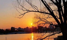 能源吃瓜,揭秘能源产业的甜蜜与苦涩