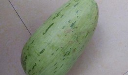 扶瓜上网坐等吃瓜图片,静待瓜熟时